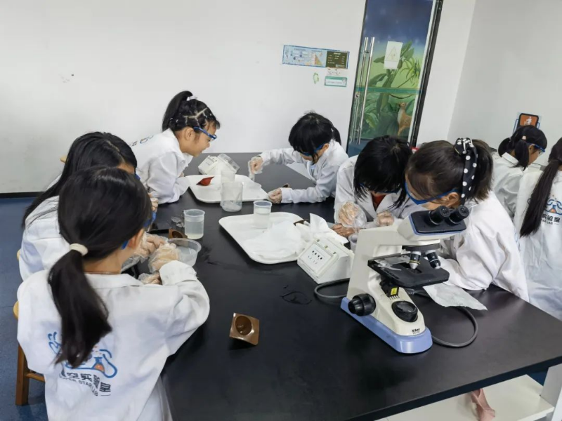 已编辑图片
